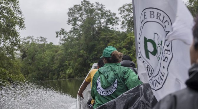 Las olas del 2019