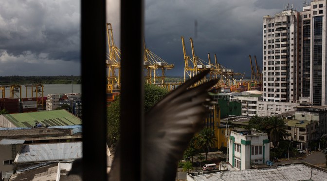 Buenaventura: silencio y olvido frente a la desaparición forzada